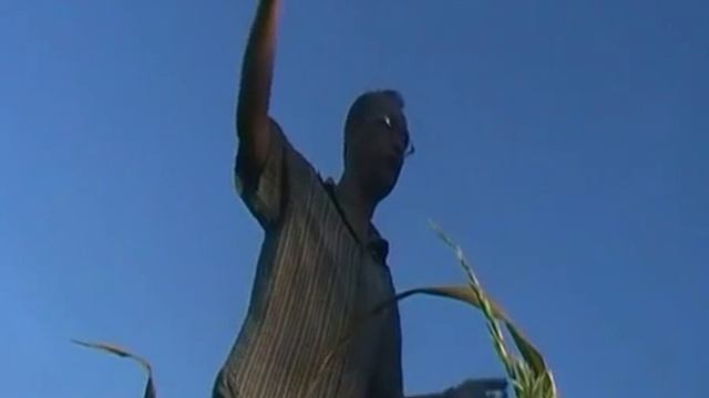 Рязанская «архивотерра» и ее открыватели смотреть онлайн