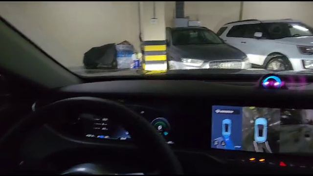 Автопарковка Voyah Free