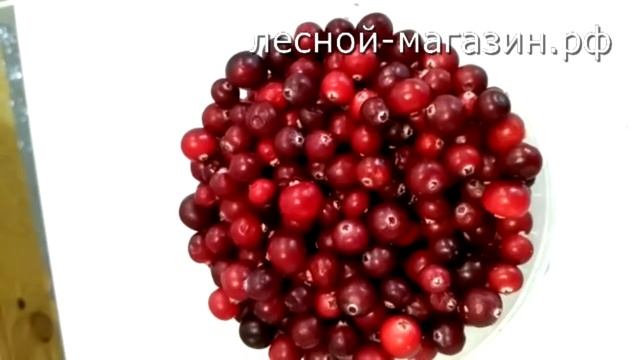 Клюква. Купить клюкву в Москве оптом. смотреть онлайн