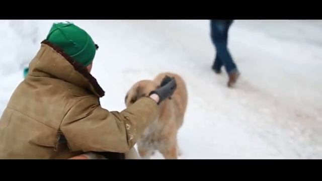 Включайся! 28 02 15 смотреть онлайн