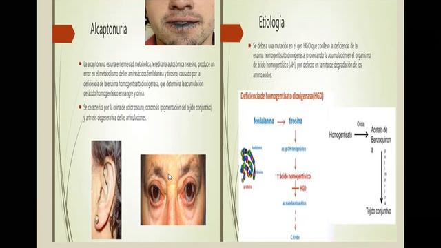 METABOLISMO DE PROTEINAS 2 1 смотреть онлайн