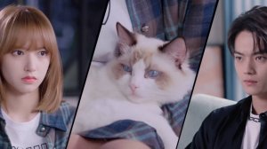 Киберкраш: Влюбиться в твою улыбку (трейлер)