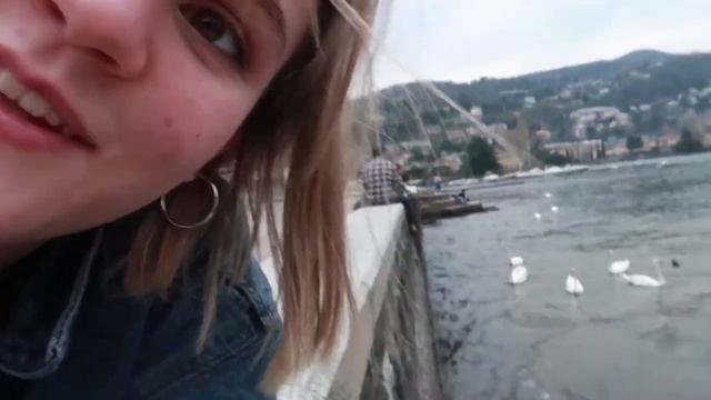 COMO (Italy) ловим лебедей и уток в озере... смотреть онлайн