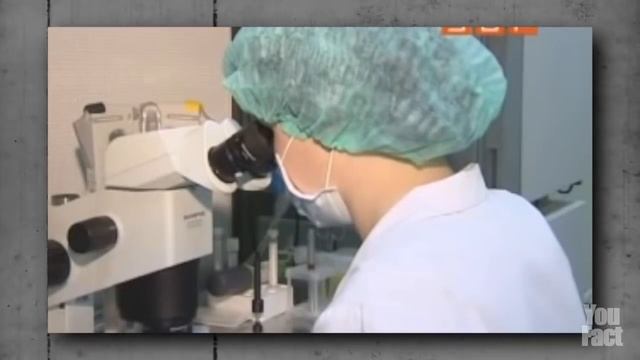 КАК ИЗБАВИТЬСЯ ОТ ПОТА смотреть онлайн
