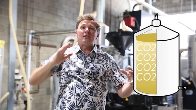 Anaerobic fermentation for coffee beans смотреть онлайн