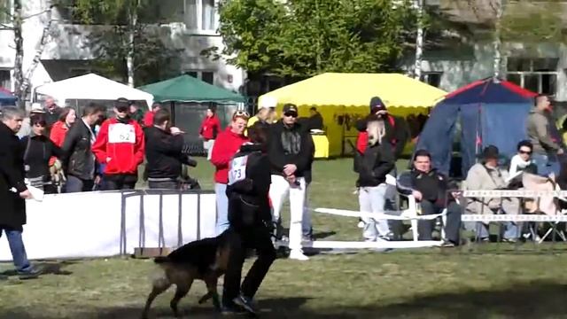 №173 Негус Карилс Джейн Эйр смотреть онлайн