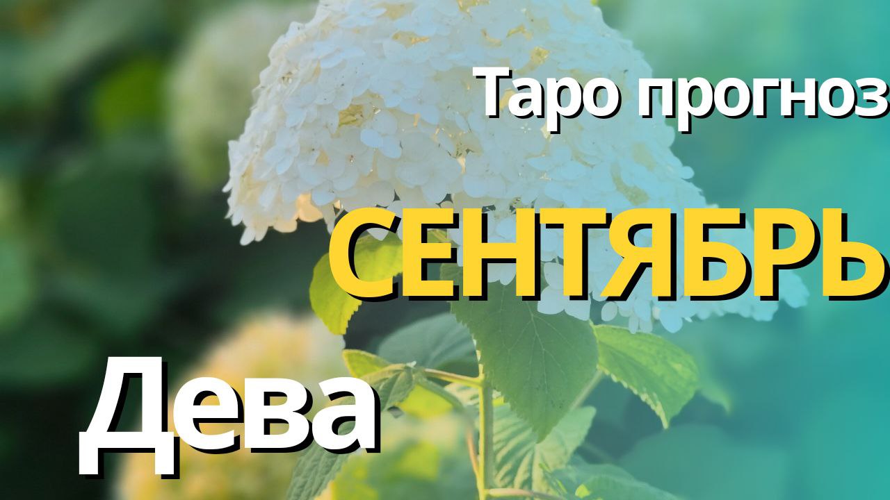 ДЕВА СЕНТЯБРЬ 2023 [Таро прогноз] смотреть онлайн