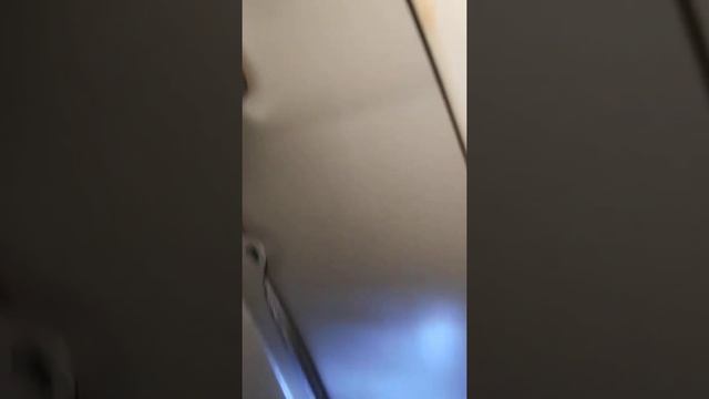 фиат Скудо, в поисках причины течи. смотреть онлайн