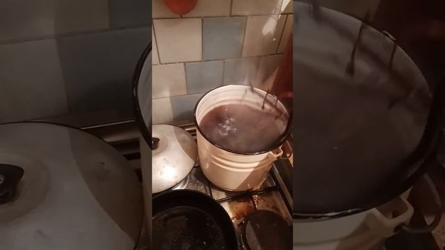 Как подготовить корягу для аквариума смотреть онлайн