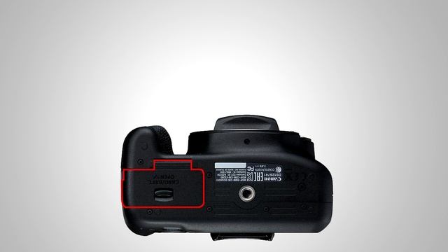 Обзор EOS 2000D - самая недооценённая зеркалка Canon?