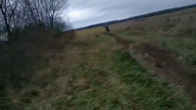 YAMAHA YZ 125 - FLAT TURN AND JUMPS! смотреть онлайн