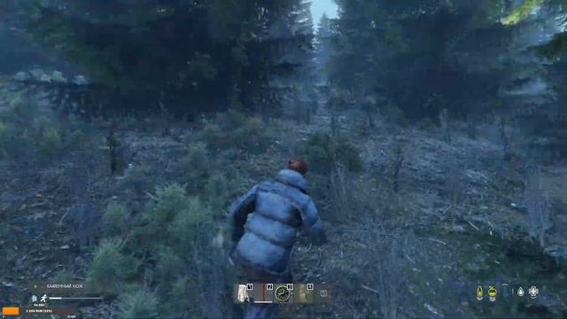 DayZ Standalone / Решил побегать 11 / Игровой стрим. смотреть онлайн