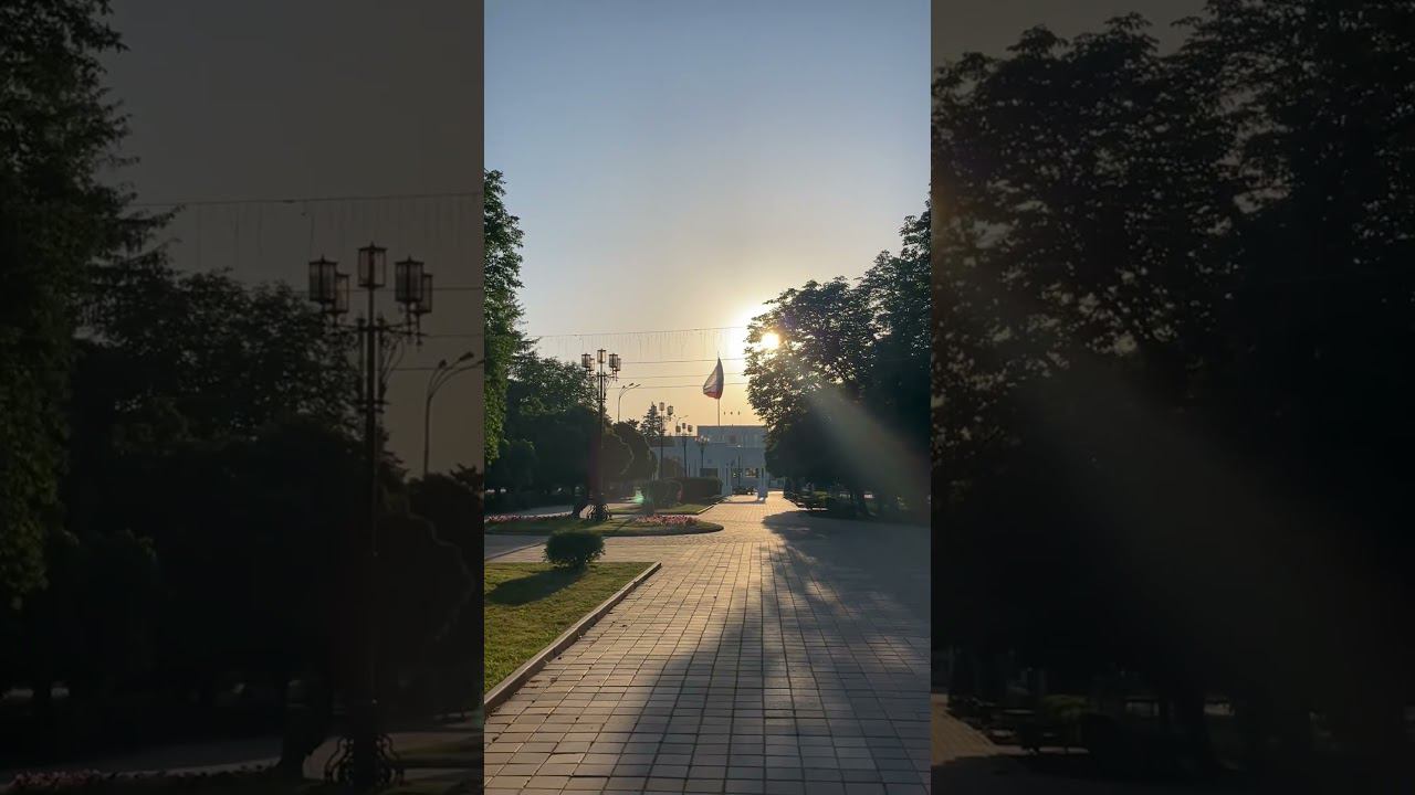 3 июня 2024 г.