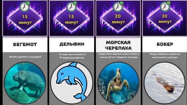 Животные без воздуха/⏲Кто дольше продержится?⏲/Сравнение смотреть онлайн