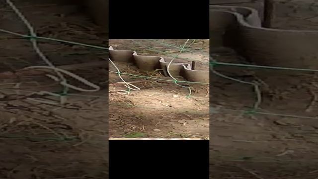 Том и джерри на новый лад! Мышке не повезло смотреть онлайн