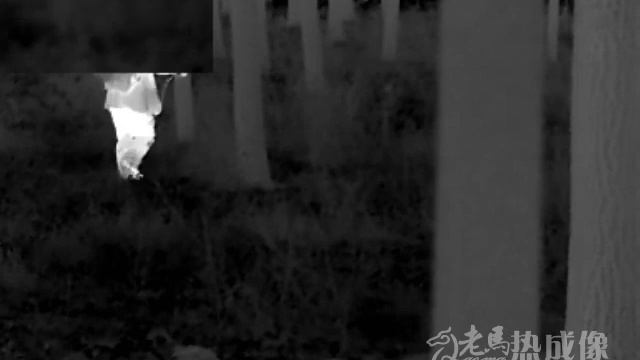 Search for birds LM6P-25 Special tools night vision scope camera смотреть онлайн