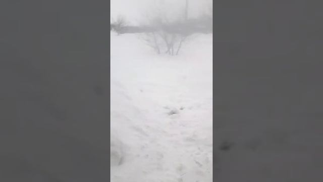 Погода в волгоградской области 24.01.2019 смотреть онлайн