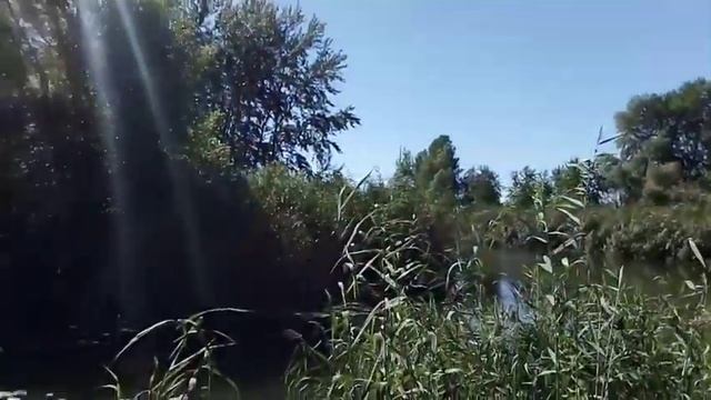 Борьба с камышом, геотекстиль, углубление, намыв пляжа. Часть 01 смотреть онлайн
