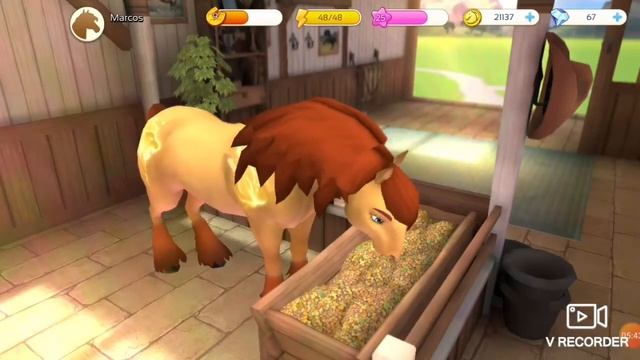 Показываю своих лошадей в Horse Haven!