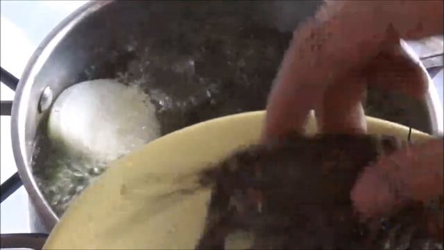 Учебник по Таланту и Творчеству