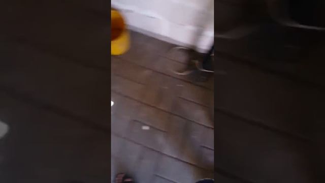 Ремонт ел мотора вентилятора кондиціонера.bmw.e36 смотреть онлайн