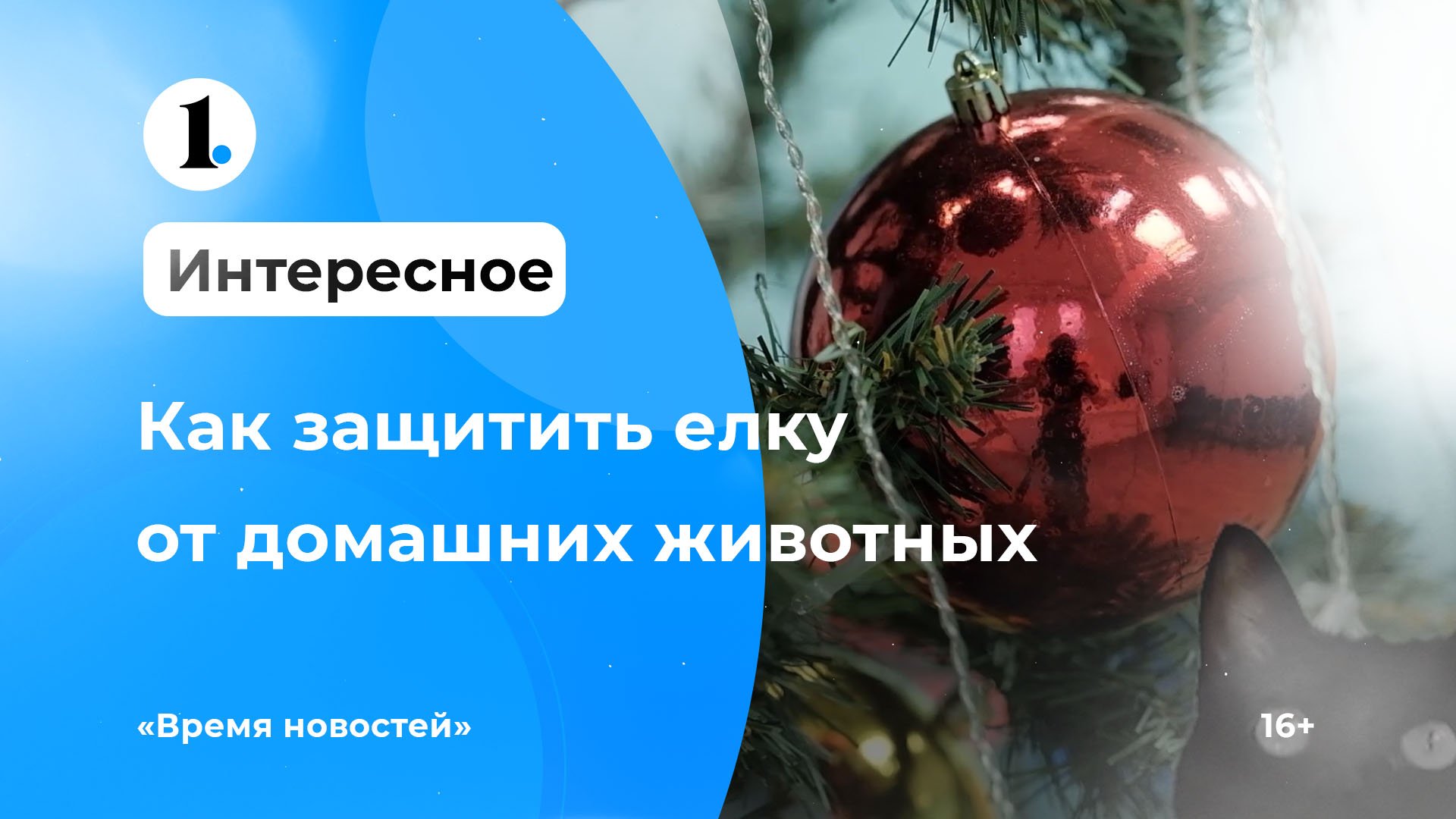 Как защитить елку от домашних питомцев? И питомцев от елки? смотреть онлайн