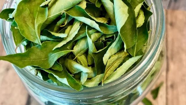 Curry Patta ke khane ke Fayde | Benefits of Curry Leaves Daily смотреть онлайн