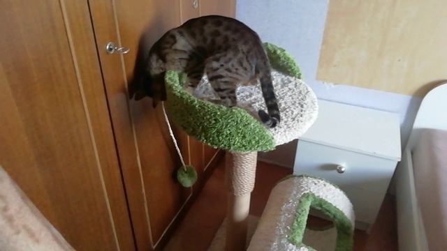 Недвижимость часть 2