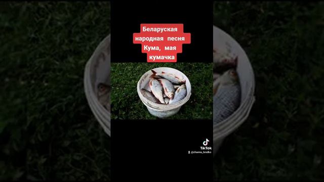 Кума, мая кумачка смотреть онлайн