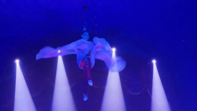 Roncalli Circus No Boulevard Vila Velha!