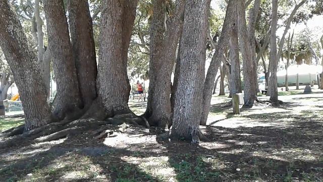 Лена Хеппи. Как не отдать долг Банку смотреть онлайн