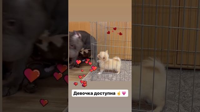23-12-2023 смотреть онлайн