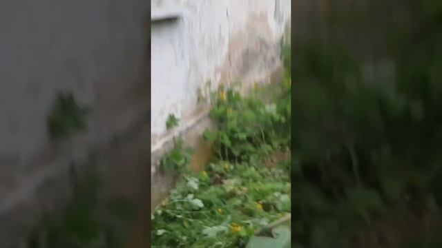 Триммер. Кошу большую траву леской смотреть онлайн