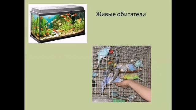 Экологическое образование детей дошкольного возраста смотреть онлайн