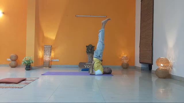 Sivananda Open Class 8 Am 30 October 2020 смотреть онлайн