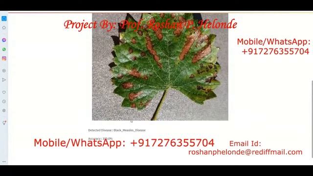 Grape Leaf Disease Prediction Using Image Processing | Python Project With Source Code смотреть онлайн