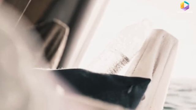 KETIKA SEEKOR HIU MENGINCAR SEPASANG PENGANTIN | Alur Cerita Film The Requin (2022) смотреть онлайн