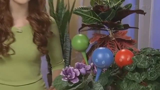 Колбы для автоматического полива цветов и растений