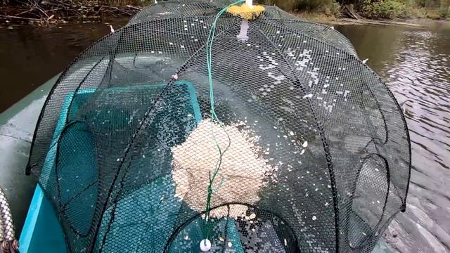 Их Просто Тьма...! Ловля Пескаря в Болоте на Зонтики !!! смотреть онлайн