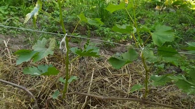 Признаки недостатка питания смотреть онлайн