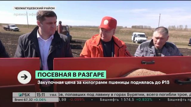 Аграрии РБ засеяли почти 114,5 тыс. га в 44 районах. Это 5,8 % процентов от всех посевных площадей смотреть онлайн
