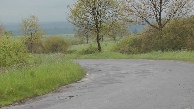 3 Rajd Nyski 2023 | Niemiec / Bodniak | Citroen C2 | MotoRecords.pl смотреть онлайн