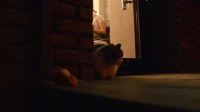 Каждый должен сделать это! / Добродетель / In Game 7 / Неделя 7 смотреть онлайн