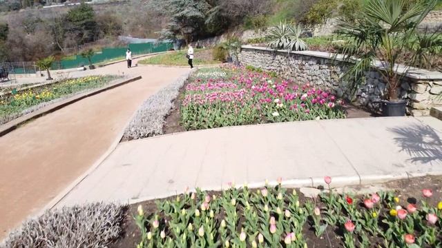 Парад тюльпанов в Ялте 2021 Никитский сад Концентрат Красоты в Крыму смотреть онлайн