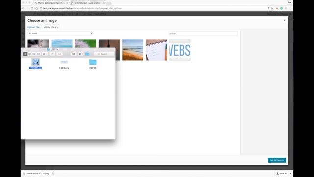 How To Change The Favicon In The Divi Theme Options смотреть онлайн