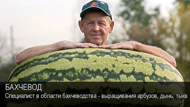 Бахчевод. Толковый Видеословарь русского языка смотреть онлайн