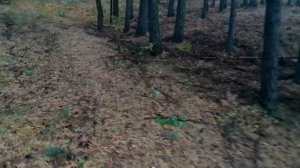 Прогуливаемся и тест камеры Digma DiCam 520.