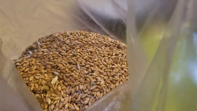 Кулинарные Фестивали и Конкурсы