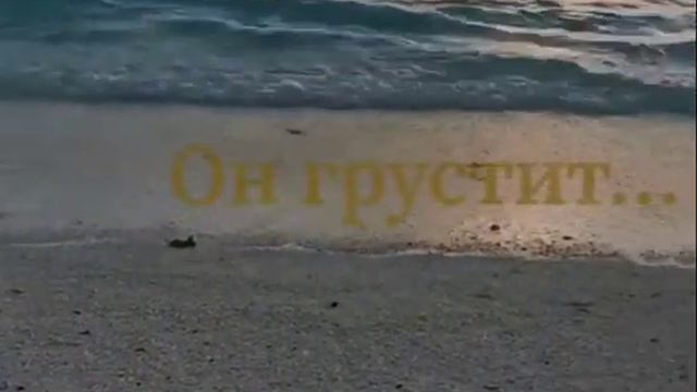 Печальный Ангел Сентября... ✍️Алла Дзгойти смотреть онлайн