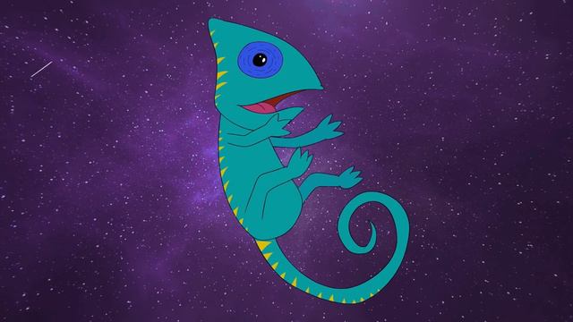 Phlox Animated Video смотреть онлайн